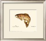 Brown Trout Posters by Teri Renee Blehm