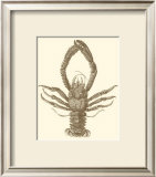 Sepia Lobster II Prints