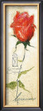 Rose Gabriella Print by Louissimo 