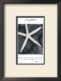 Explorar Arte por Deborah Van Swearingen Explorar Arte por Deborah Van Swearingen