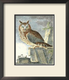 Night Guardian I Print by J.E. Deseve
