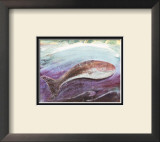 Whale Prints by Silvana Crefcoeur
