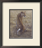 Leopard Posters by Daniel Smith