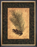 White Pine Posters by Susan Clickner