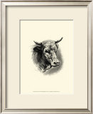 Antique Cattle II Poster by F. Lehnert