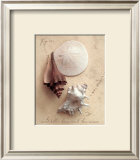 Seaside Collection II Posters by Heather Johnston
