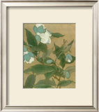 Magnolia and Praying Mantis Posters