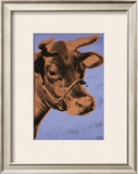 Cow, c.1971 (Purple and Orange) Prints by Andy Warhol