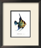 Fish Tail I Prints by Carolyn Shores-Wright