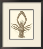 Sepia Lobster II Posters