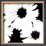 Daisies I Prints by Patti Socci