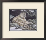 Awake Snow Leopard Poster by Alan Sakhavarz
