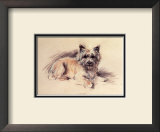Andrew Prints by Mac 