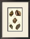 Neptune's Treasure IV Print by Kruger 