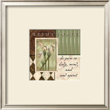 Sage and Harlequin, Rejuvenate Prints by Debbie DeWitt