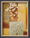 Apple Blossoms Prints by Xavier 