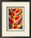 Heliconia Art by Joanne Bolton