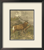Small Red Deer Poster by Friedrich Specht