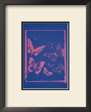 Vanishing Animals: Butterflies, c.1986 (Hot Pink on Blue) Posters por Andy Warhol