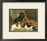 Toy Spaniels Posters by Vero Shaw
