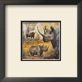 Safari I Prints by Peter Blackwell
