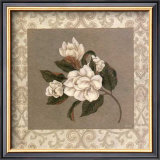 Four Magnolias Posters by Xavier 