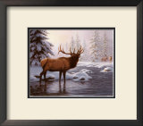 Elk II Posters by Richard Burns