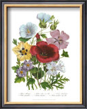 Hibiscus Posters by Jane W. Loudon