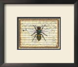 Bumblebee Harmony I Posters