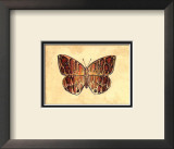 Butterfly I Prints by Steve Butler