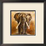 Elephant Prints by Olga Ilic