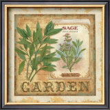 Fine Herbs II Posters by Daphne Brissonnet