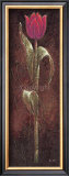 Mystic Tulip Dark Red Poster by Karsten Kirchner