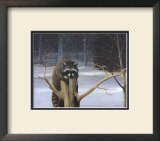 Mischief on a Stump Prints by David Jean