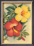 Hawaiian Hibiscus Prints by Eve Hawaii
