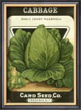 Cabbage Prints
