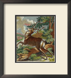 Deer in the Wild II Prints by Johann Elias Ridinger