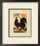 Roosters with Mat V Print by Cassell's Poultry Book 