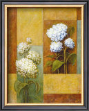 Blue and White Hydrangea Pôsters por Xavier Blue and White Hydrangea Pôsters por Xavier