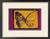 Vanishing Animals: Butterfly, c.1986 (Yellow on Purple) Prints by Andy Warhol