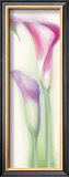Pink Calla II Prints by Annemarie Peter-jaumann