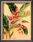 Heliconia Prints by Hale Pua Studio 