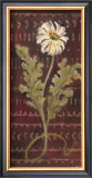 African Daisy I Posters by Linda Hutchinson