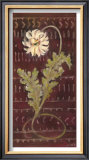 African Daisy II Prints by Linda Hutchinson
