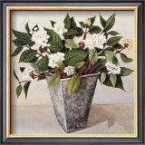Dogwood Prints by Galley 