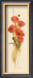 Crimson Poppy Prints by Susan Zulauf