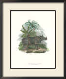 Rhinoceros Posters by Julius Caesar Ibbetson