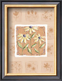 Black-Eyed Susans Prints by Wilma Sanchez