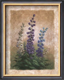 Canterbury Bells Posters by Vivian Flasch