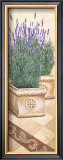 Lavanda Profumata Prints by Franz Heigl